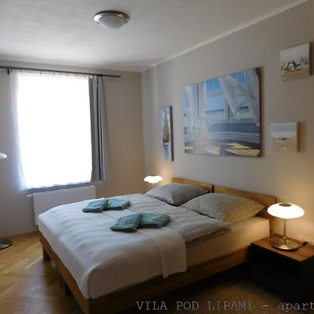 Vila Pod Lipami Apartment Bruntal Exterior photo