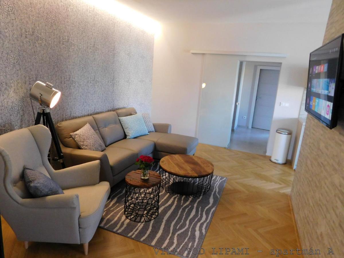 Vila Pod Lipami Apartment Bruntal Exterior photo