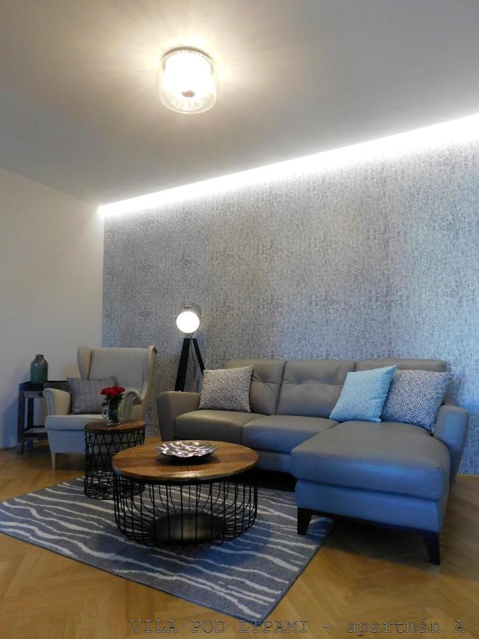 Vila Pod Lipami Apartment Bruntal Exterior photo
